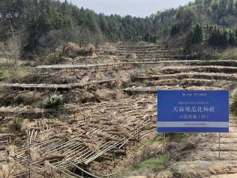 JDB����(�й���)���ٷ���վ