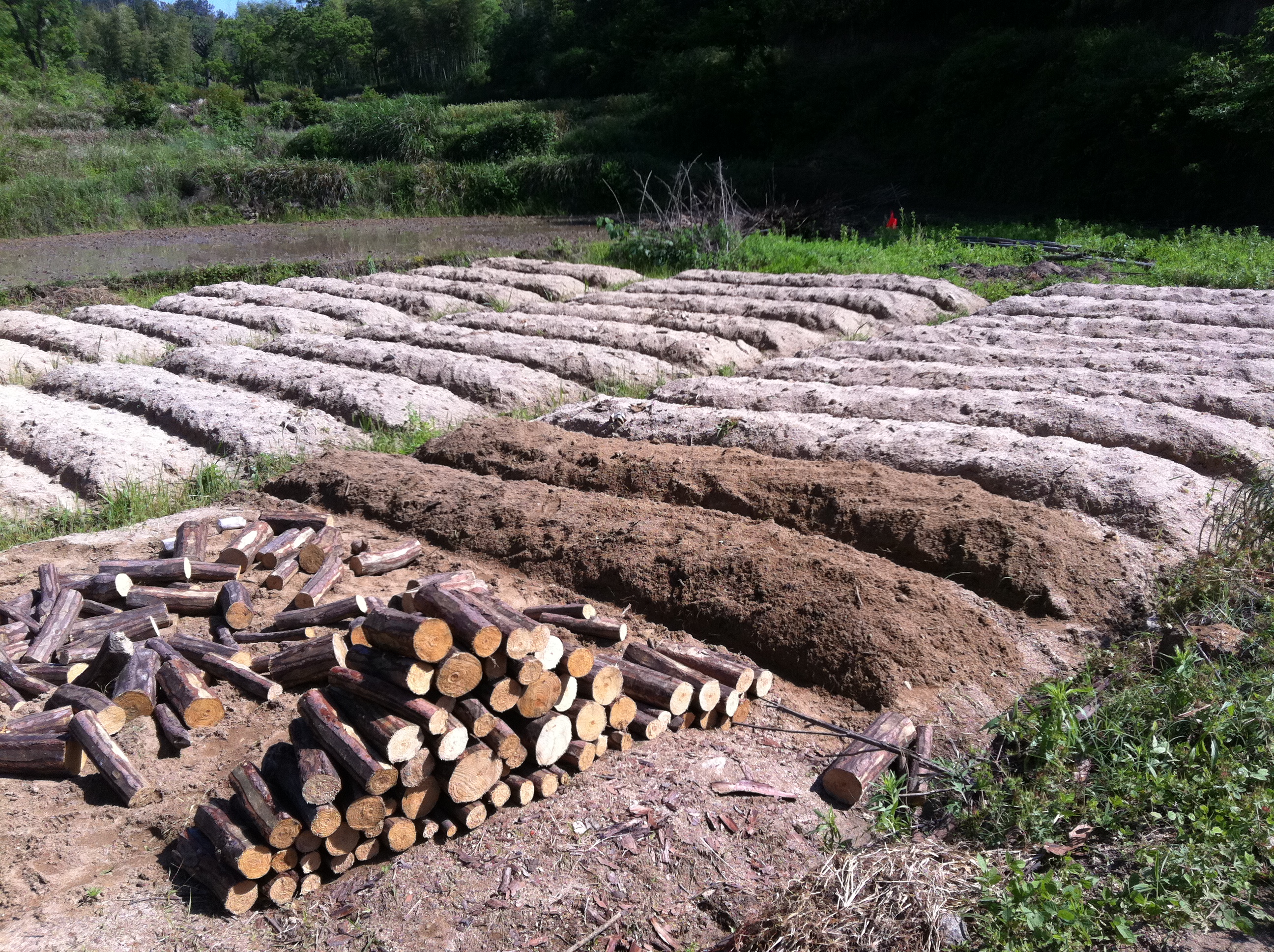 JDB����(�й���)���ٷ���վ