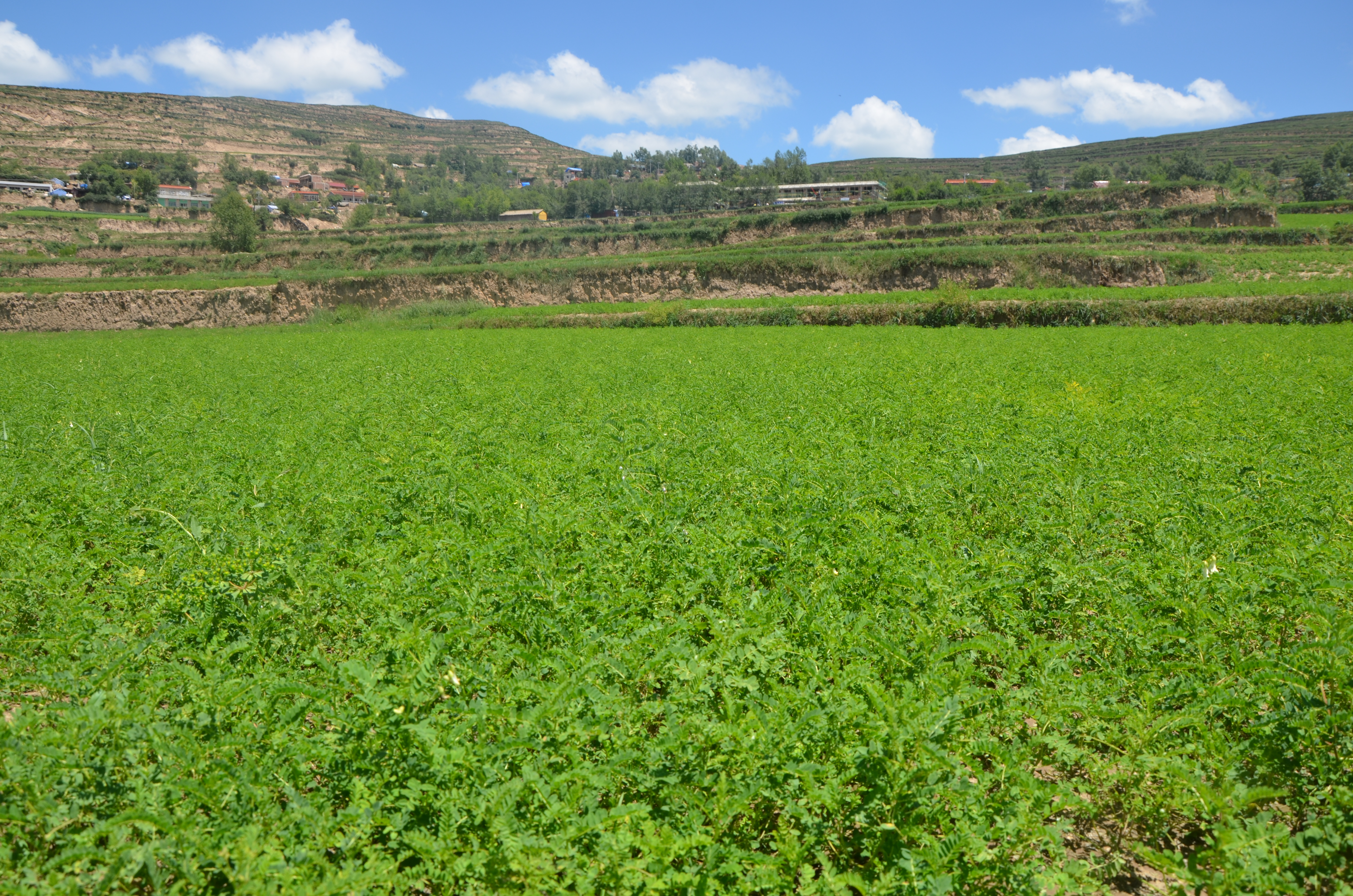 JDB����(�й���)���ٷ���վ