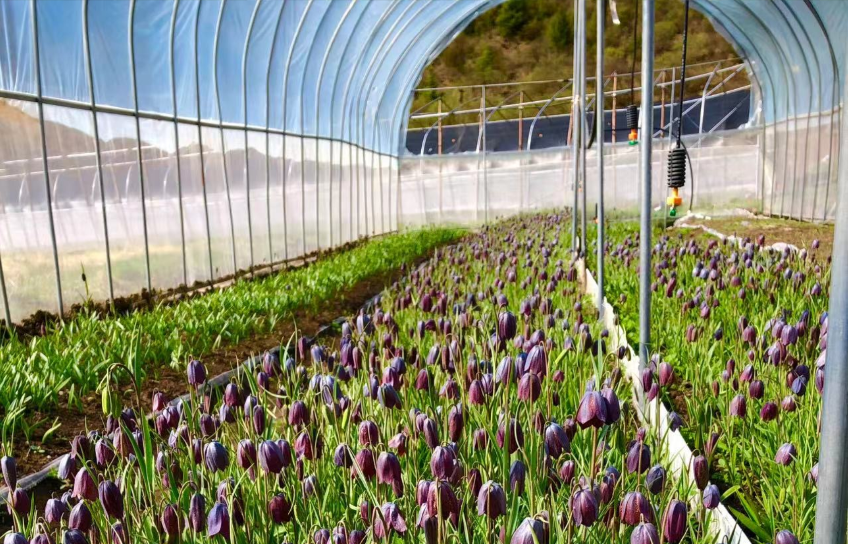 JDB����(�й���)���ٷ���վ