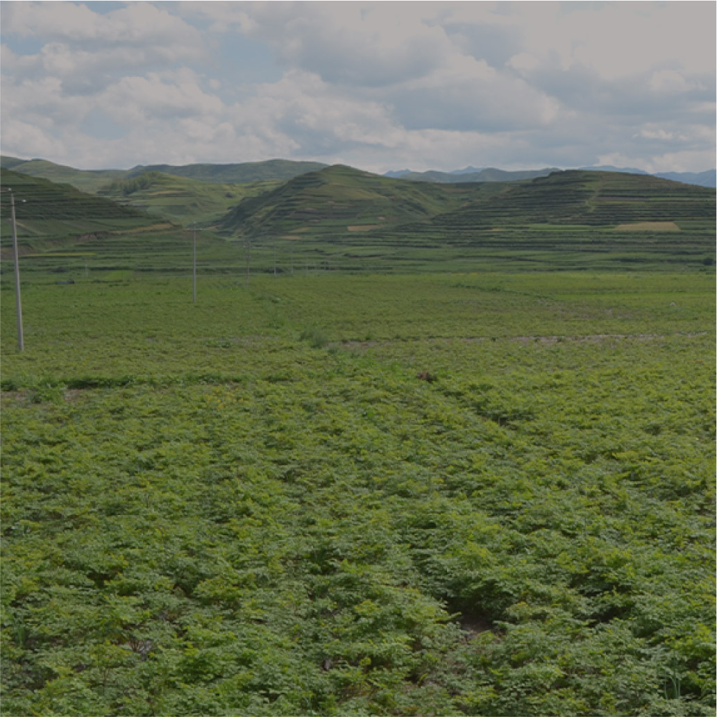 JDB����(�й���)���ٷ���վ